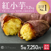 紅小芋1.2kg×5箱