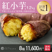 紅小芋1.2kg×8箱