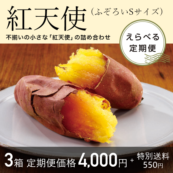 【定期便】 紅天使 ふぞろいSサイズ3箱